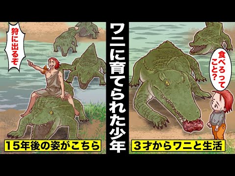 【漫画】３歳の男の子が海外旅行中に湿地帯で行方不明に…ワニに保護され15年間生きていた少年は言葉を忘れていたが両親と再会した瞬間・・・