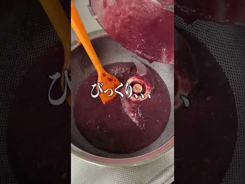 【制作時間２日】ラヴァシャク再現レシピ❤️※食べてる様子は少し前にあげてます！#ラヴァシャク #lavashak #再現 #再現レシピ #asmr #病み上がり