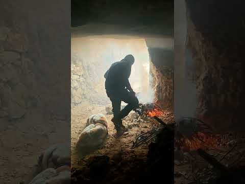 Building an Underground Bushcraft Shelter with My Loyal Dog in the Storm! 🌧️🔥