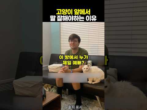 아빠를 너무 좋아하는 질투쟁이 고양이
