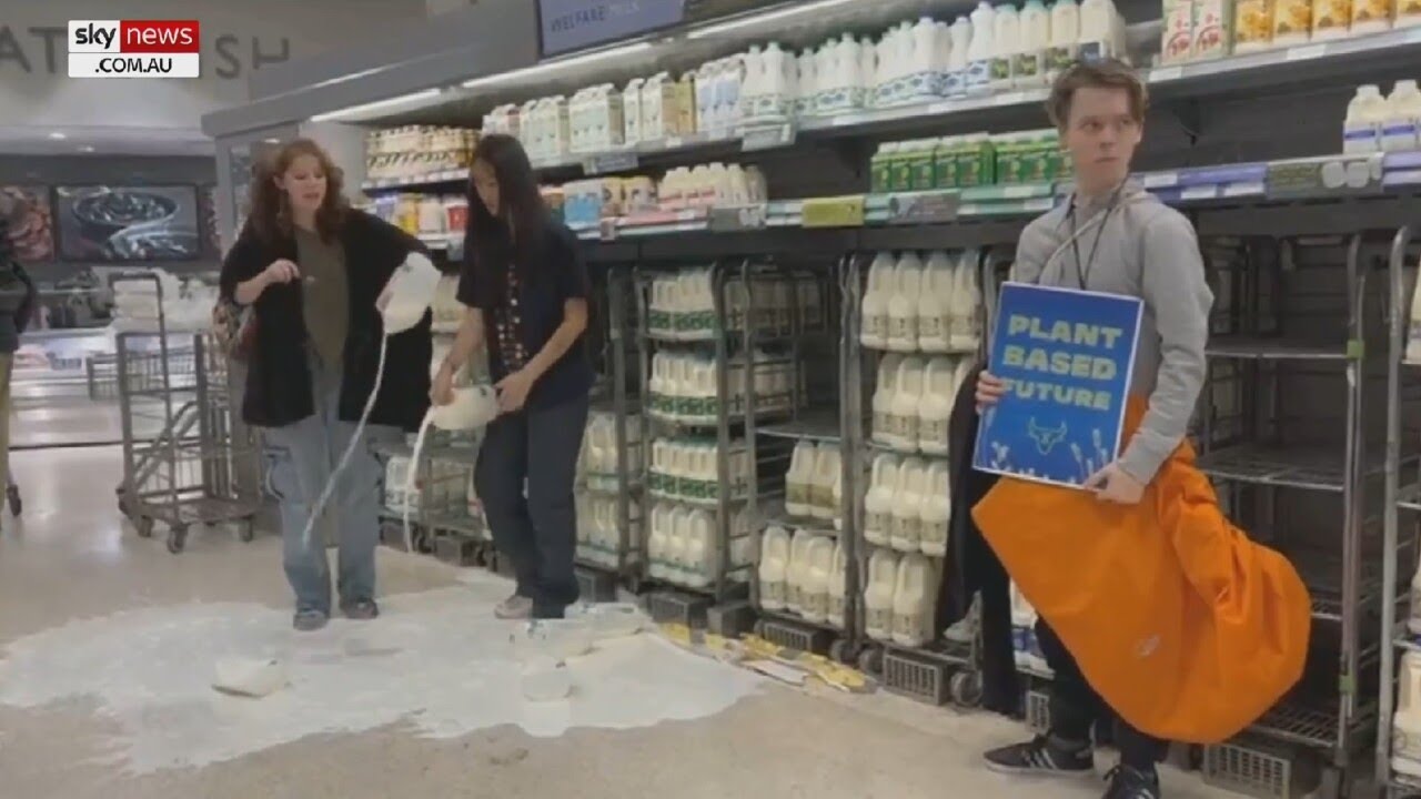 ‘Out of Ideas’: Animal Rebellion Activists ‘Pour Milk Everywhere’ in Stores