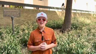 Knoxy Channel 2026 Texas Longhorns vs OSU preview