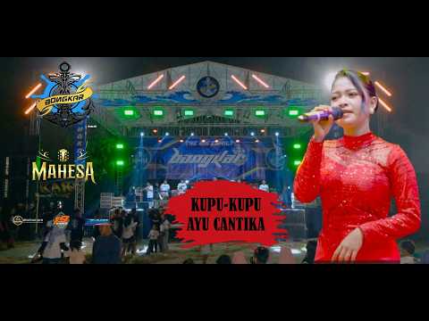 KUPU-KUPU - AYU CANTIKA || MAHESA MUSIC LIVE BONGKAR