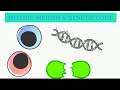 Genetic Code and Cell Division Concepts