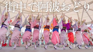 【阿波踊り】演舞場以外でも阿波おどりいっぱい見れる徳島市阿波おどり | Awaodori in Tokushima Japan
