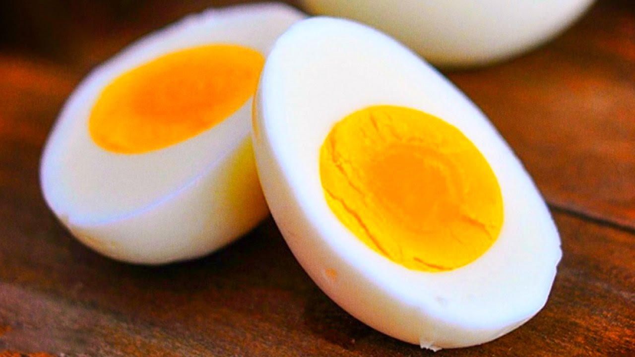 14 Day Egg Diet Menu  Prices PDF South Africa March 2025