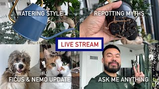 Watering Habits, Repotting Myths, Ficus & Nemo, Ask Me Anything - LIVE STREAM