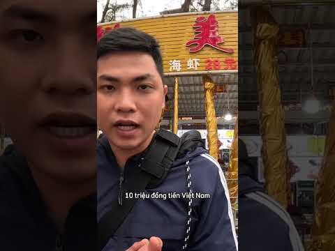 Qua Trung Quốc gặp hai cô bị lừa bán biệt tích 25 năm | Phong Bụi #shorts