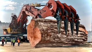 Dangerous Fastest Logging Biggest Tree Cutting Machines, Heavy Monster Truck Operator Chainsaw Skill