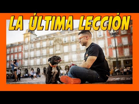 DOS MESES SIN TOTA 💫🐶 | Lo que he aprendido (DUELO Y EMOCIONES ❤️)