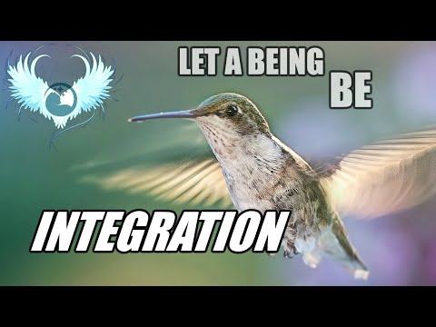 Integration and Acceptance without being Permissive / Letting a being BE