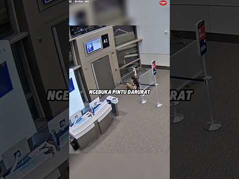 Cowok itu Nekat Buka Pintu Darurat Tanpa Tahu itu Kesalahan Besar