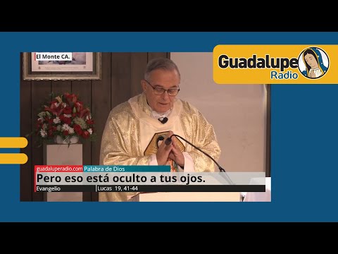 Evangelio de hoy 21/noviembre/2024