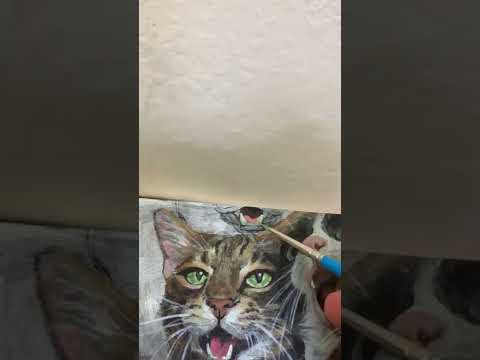 3 more cats added! Fritz, Oliver and Ganymede!