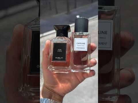 pov : tu as la meilleure passion