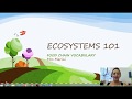 Food Chain and Ecosystem Roles