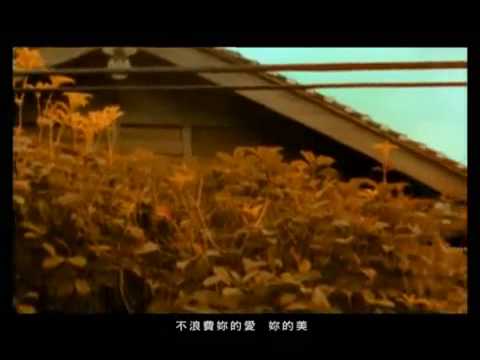 蕭敬騰 阿飛的小蝴蝶MV(HQ)