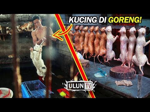 Miris Banget!! Ketika Hewan Disiksa Dengan Sadis dan Kejam Untuk Dijadikan makanan