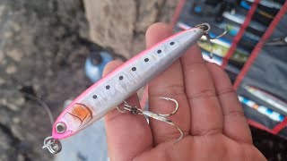 RUN TUNA Run... Zzzzzzz