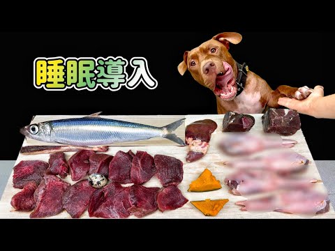 【耳が喜ぶ音】生肉を食べるピットブルの咀嚼音が心地良すぎる!!閲覧注意