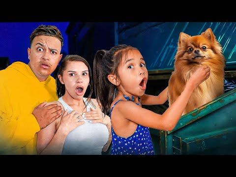 We Found a Lost Dog!