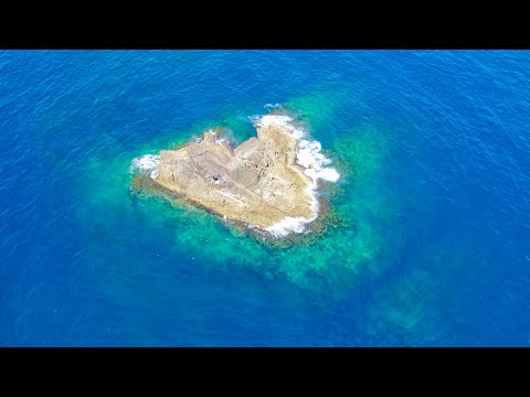 【岩の上で大人の夏休み】大物求めて灼熱の沖磯で過ごす。