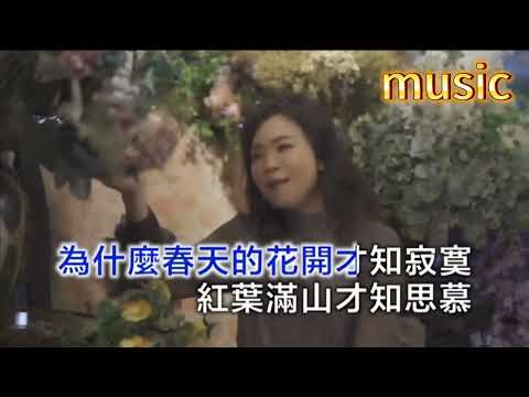 風雨愛情路 (台語) 羚荺-KTV 伴奏 no vocal 無人聲 music 純音樂 karaoke 卡拉OK 伴唱風雨愛情路 (台語) 羚荺-