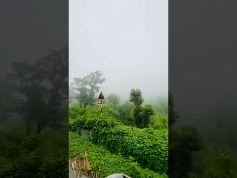 #bandorbon #bandorban #waz #mahfil #abu_toha_muhammad_adnan #viral #shorts