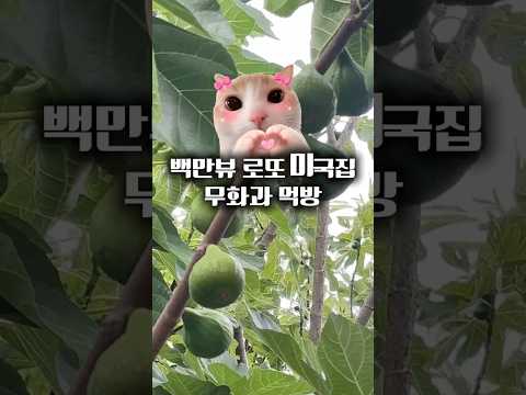 로또맞은 미국집 무화과 먹방 #<strong>미국생활</strong> #레시피 #무화과