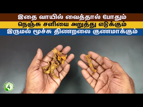 இதை வாயில் வைத்தாலே நெஞ்சு சளியை அறுத்தெடுக்கும் இருமல் மூச்சு திணறலை குணமாக்கும் cold remedy
