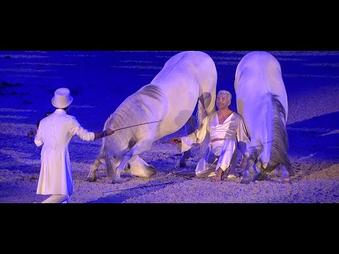 Violinista Virtuoso Artale