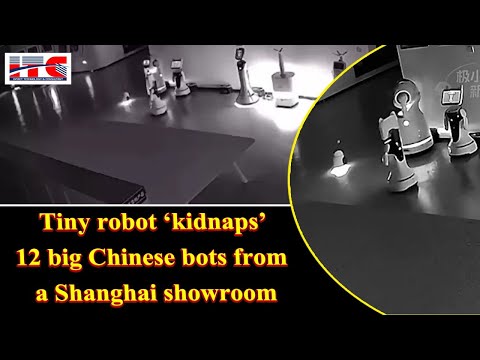 Tiny robot ‘kidnaps’ 12 big Chinese bots from a Shanghai showroom | #TinyRobot #AI #robotics