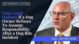Your Legal Options If a Dog Owner Refuses To Assume Responsibility After a Dog Bite Incident