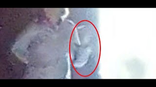 El misterio de las stavkirker iglesias negra en Noruega