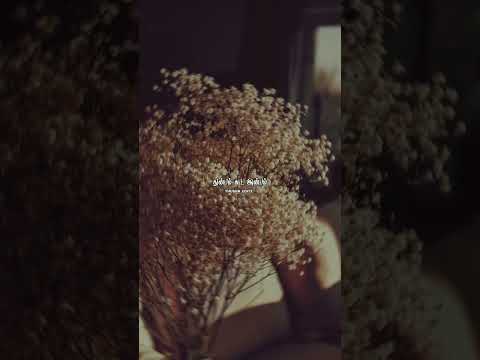 #feelinglove #lovestatus