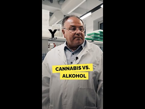 Cannabis vs. Alkohol #shorts