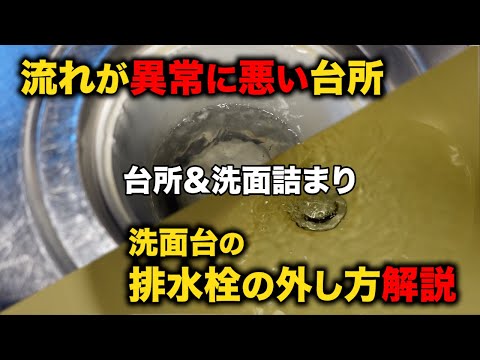 築40年！水漏れ形跡あり！流れが異常に悪いのはなぜ？洗面台の排水栓も外してみよう！【花のお掃除 #397】