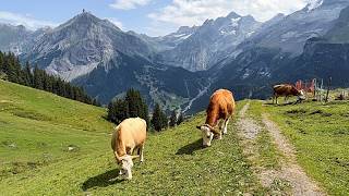 YouTube video thumbnail: Swiss Village Lives in the Shadow of an Unstable Mountain