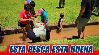 Esta pesca esta buena. Agarrando chacalines en la sede.