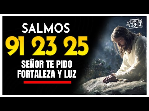 Los SALMO 91 25 23  " ORACION PODEROSA "  Señor librame con tu gran poder #salmo91