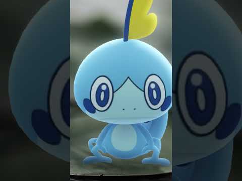Hop to it, Trainers! 💧🤩