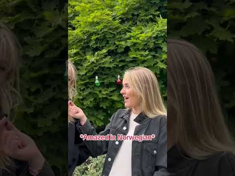 Vi ❤️ #Festival #stavernfestivalen2023 #stavernfestivalen