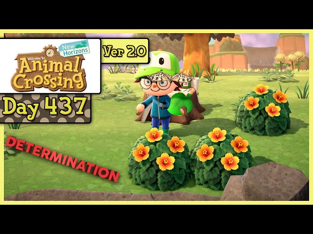 Animal Crossing: New Horizons - Day 437 - I'm Gonna Make It!