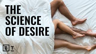 Your brain: the most important sex organ in the body | Emily Nagoski