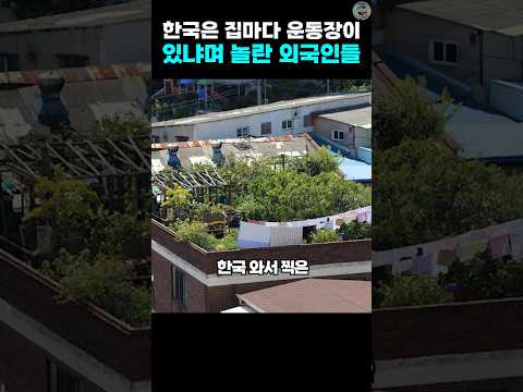 한국은 집마다 운동장이 있냐며 놀란 외국인들
