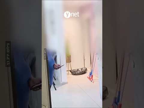 הטרור הפלילי נמשך: רימון הושלך בבניין מגורים