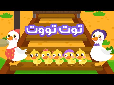 Toot toot 2024 | توت توت عبد المنعم مدبولي ❤️🔴