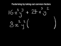Factorization and Common Factors