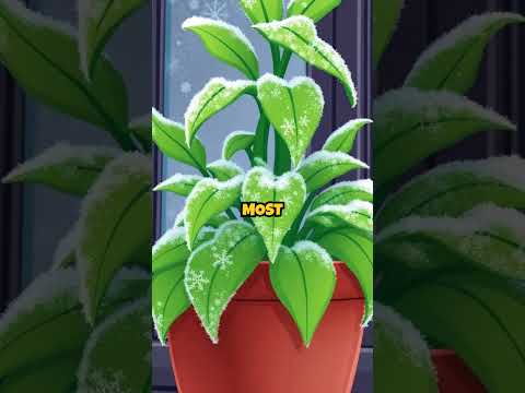 What If The Sun Suddenly Disappeared?