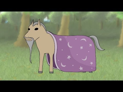 WIZARD HORSE